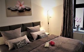 Budget Apartments - Salzhausblick Ferienwohnungen