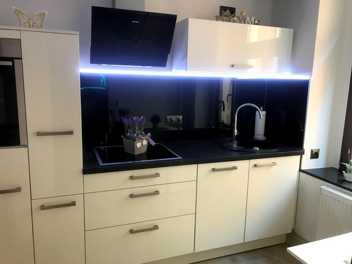 Budget Apartments - Salzhausblick Ferienwohnungen Zittau Zimmer foto